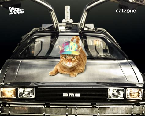 Cat To The Future Betsson